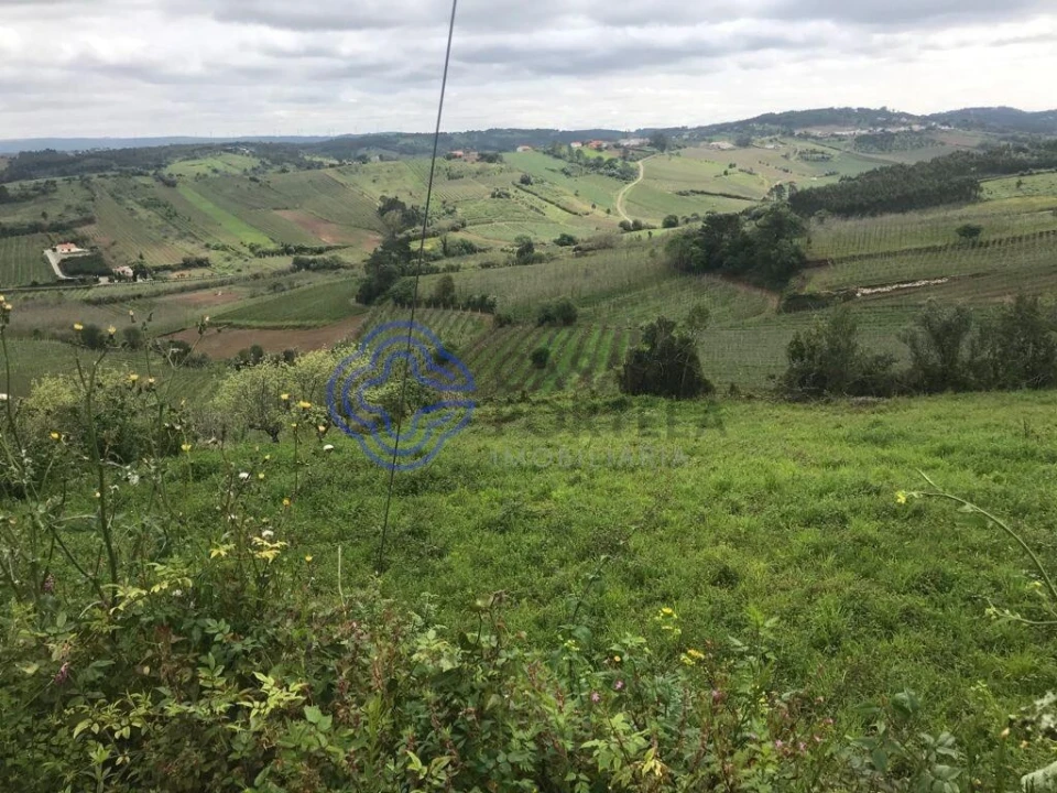 Terreno para Venda em Caldas da Rainha - Santo Onofre e Serra do Bouro Foto 9