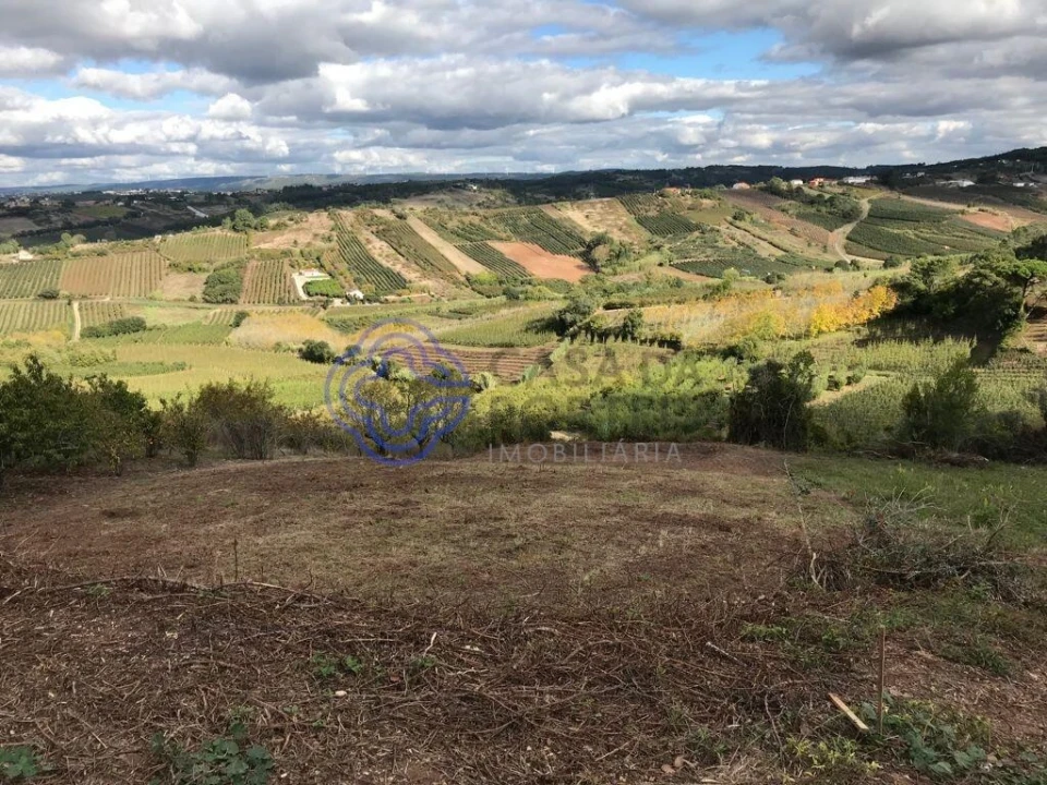 Terreno para Venda em Caldas da Rainha - Santo Onofre e Serra do Bouro Foto 5