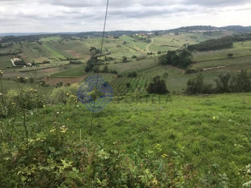 Terreno para Venda em Caldas da Rainha - Santo Onofre e Serra do Bouro