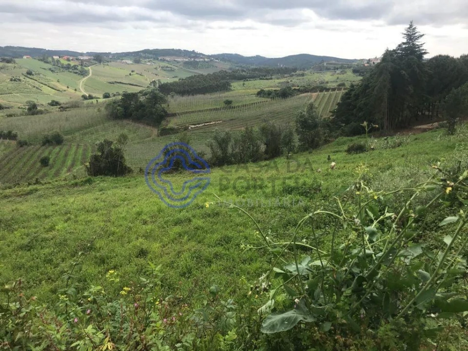 Terreno para Venda em Caldas da Rainha - Santo Onofre e Serra do Bouro Foto 8