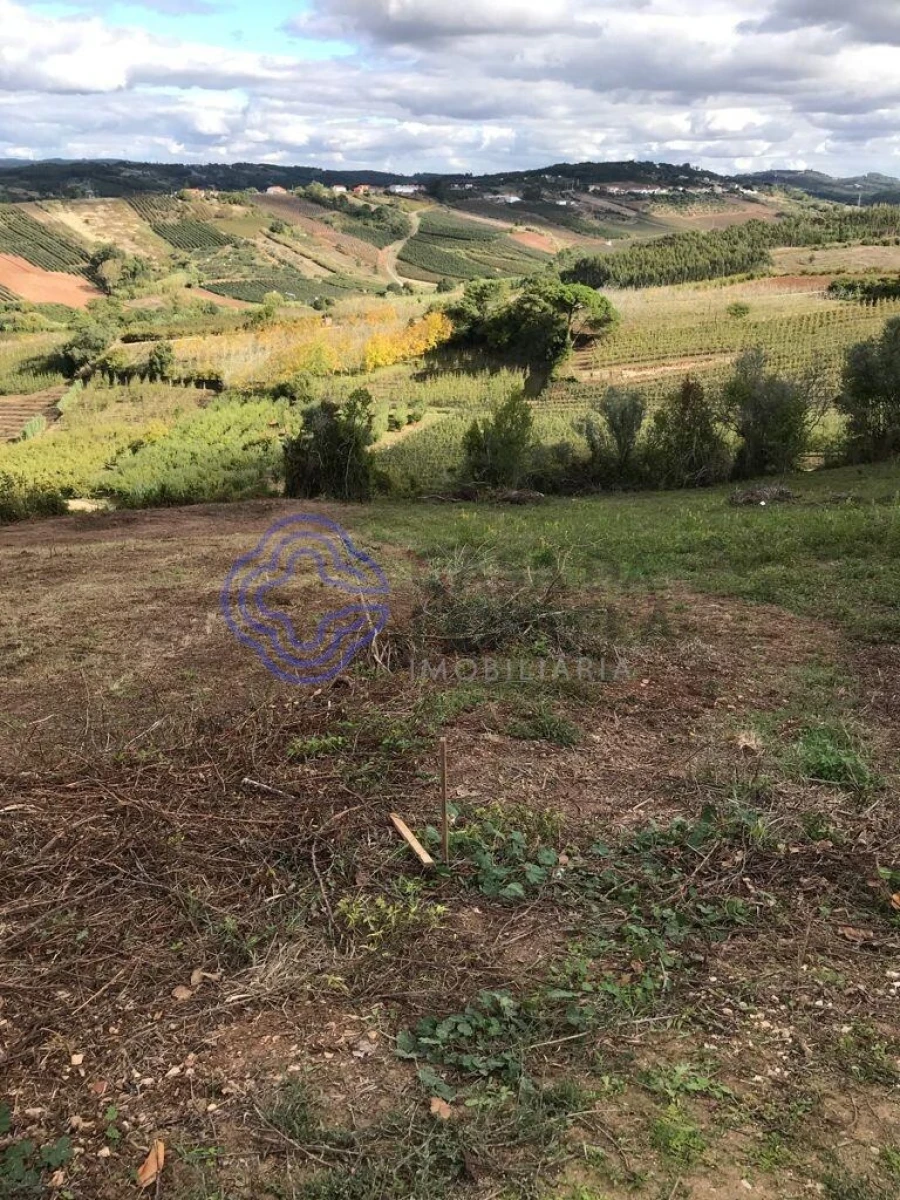 Terreno para Venda em Caldas da Rainha - Santo Onofre e Serra do Bouro Foto 7