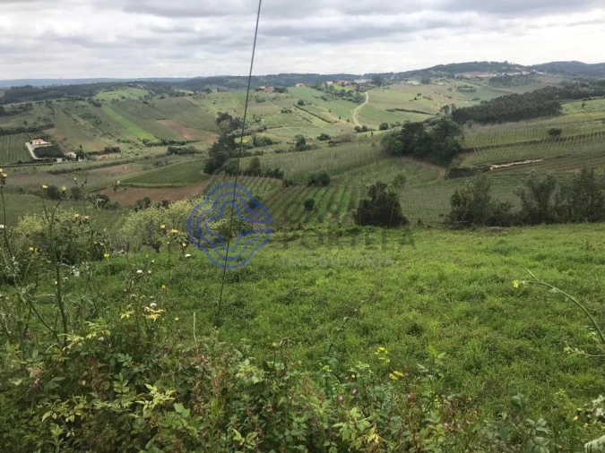 Terreno para Venda em Caldas da Rainha - Santo Onofre e Serra do Bouro Foto 9