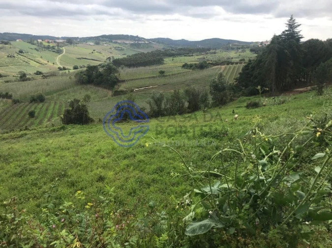 Terreno para Venda em Caldas da Rainha - Santo Onofre e Serra do Bouro Foto 8