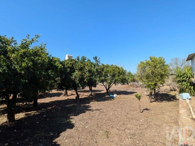 Moradia T7 para Venda em Veiros Foto 29