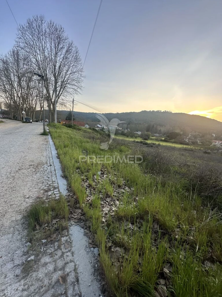 Terreno para Venda em Planalto de Monforte (Oucidres e Bobadela) Foto 3
