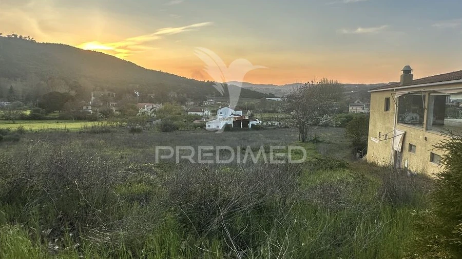 Terreno para Venda em Madalena e Samaiões