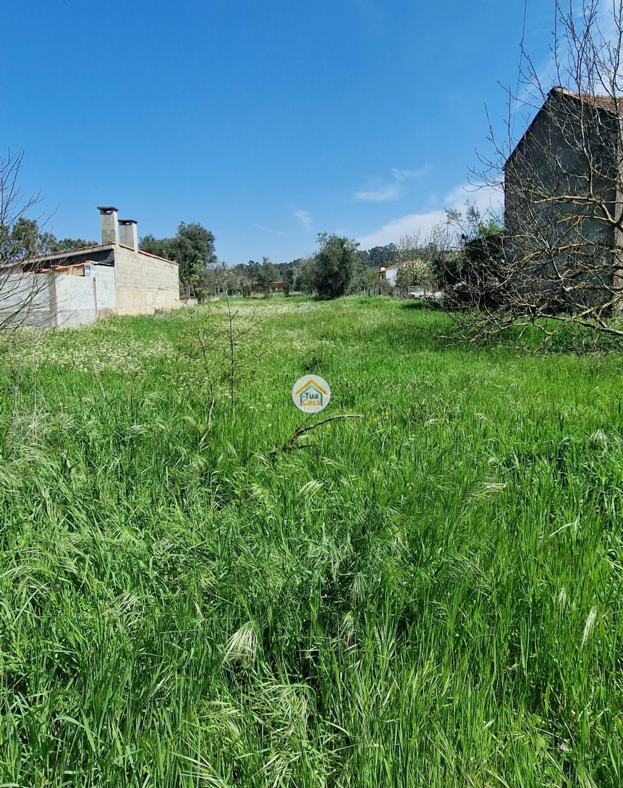 Terreno para Venda em Lousã e Vilarinho Foto 5