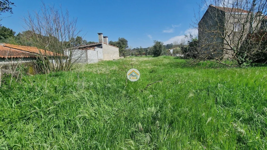 Terreno para Venda em Lousã e Vilarinho Foto 6
