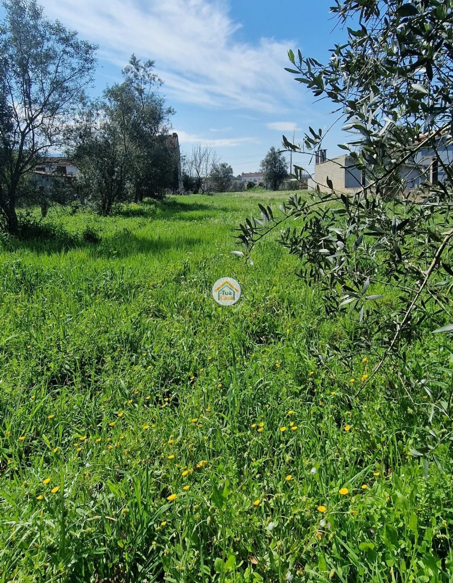 Terreno para Venda em Lousã e Vilarinho Foto 9