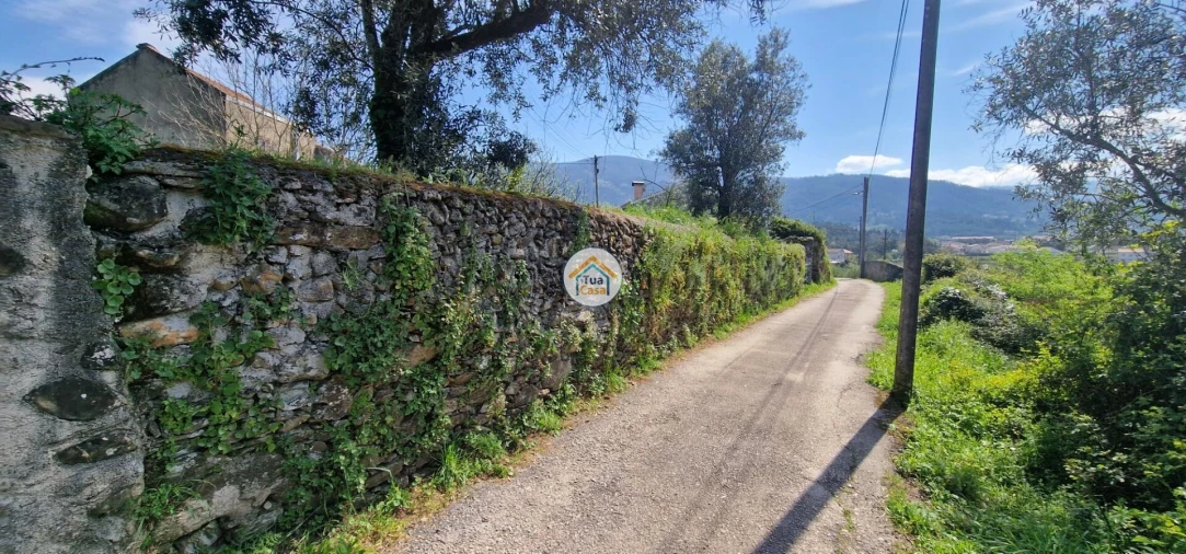 Terreno para Venda em Lousã e Vilarinho Foto 4
