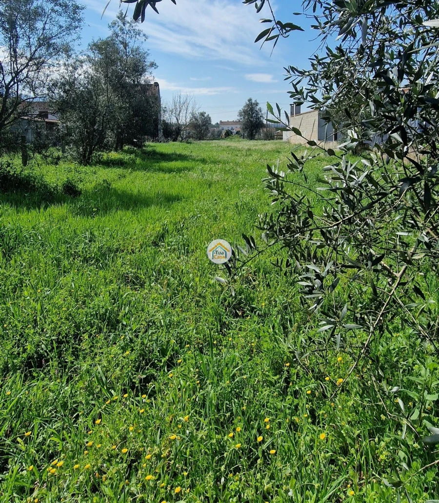 Terreno para Venda em Lousã e Vilarinho Foto 8