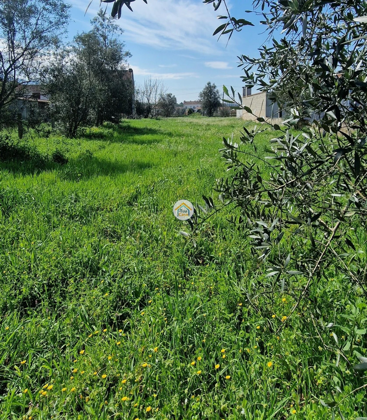 Terreno para Venda em Lousã e Vilarinho Foto 8