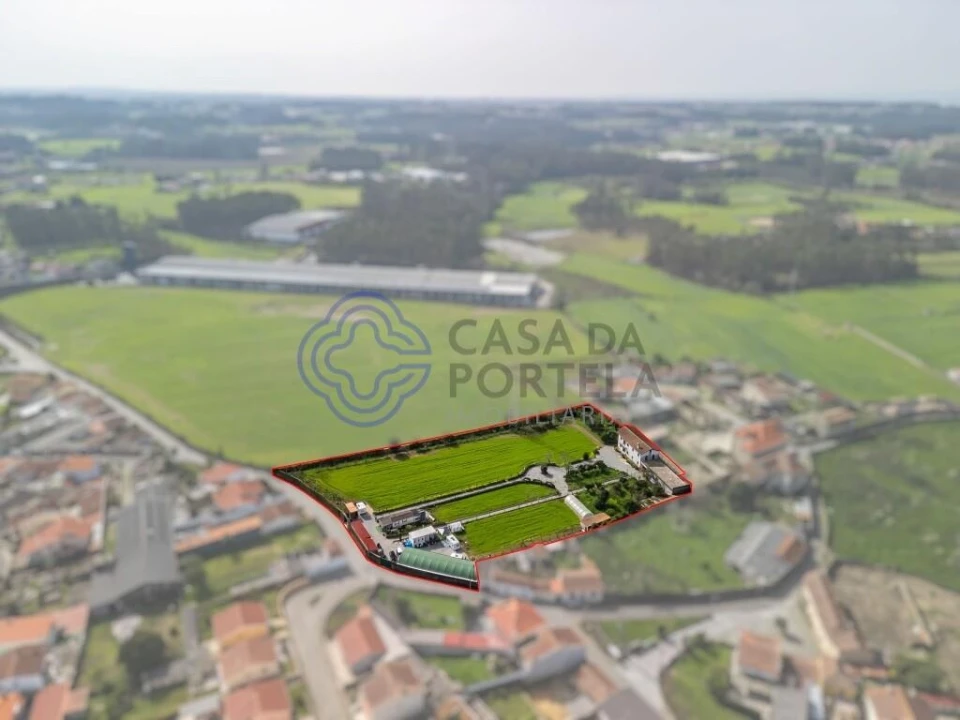 Quinta T5 para Venda em Malta e Canidelo Foto 6