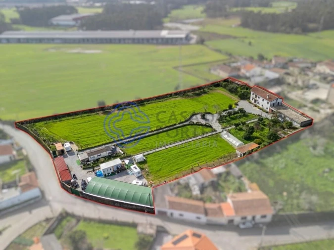 Quinta T5 para Venda em Malta e Canidelo Foto 5