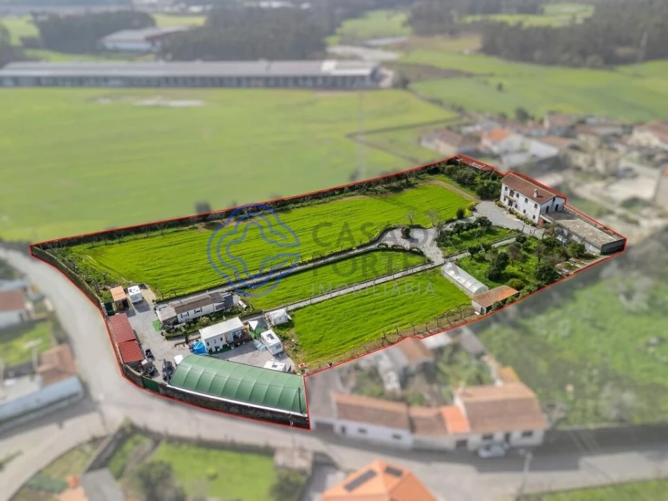 Quinta T5 para Venda em Malta e Canidelo Foto 5