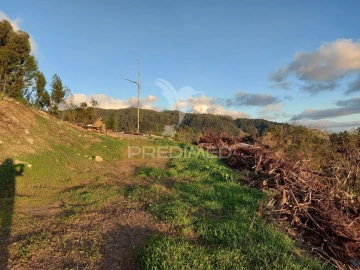 Terreno para Venda em Ribeira Brava