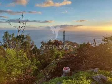 Terreno para Venda em Ribeira Brava