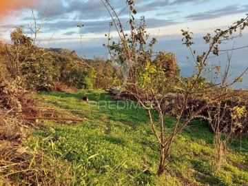 Terreno para Venda em Ribeira Brava