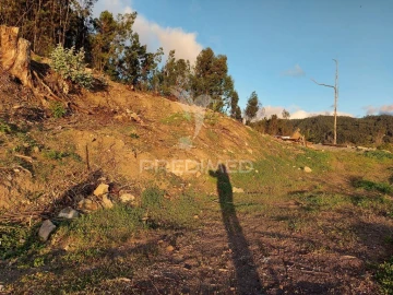 Terreno para Venda em Ribeira Brava