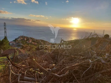 Terreno para Venda em Ribeira Brava