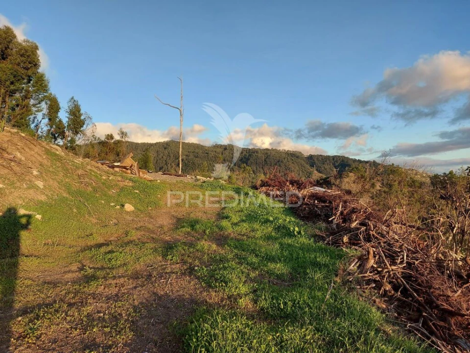 Terreno para Venda em Ribeira Brava Foto 19