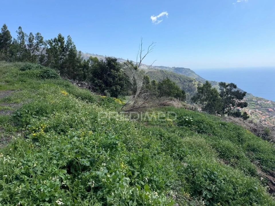 Terreno para Venda em Ribeira Brava Foto 9