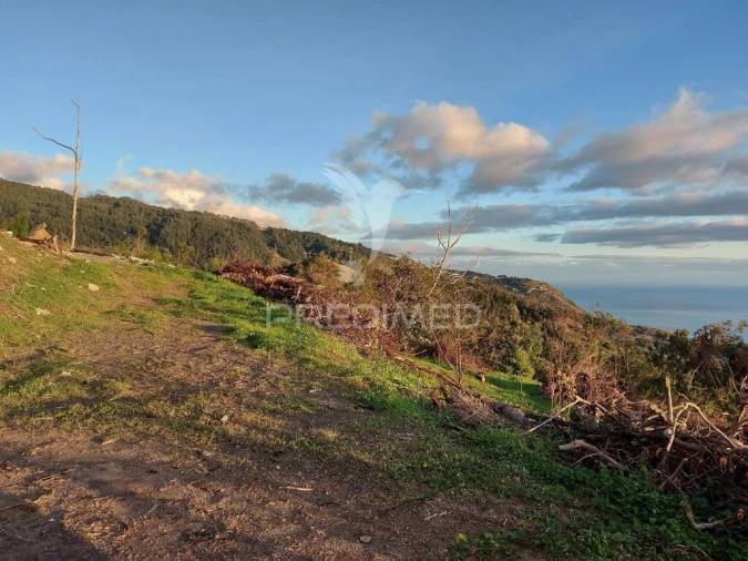 Terreno para Venda em Ribeira Brava Foto 20