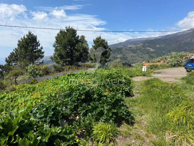 Terreno para Venda em Ribeira Brava Foto 4