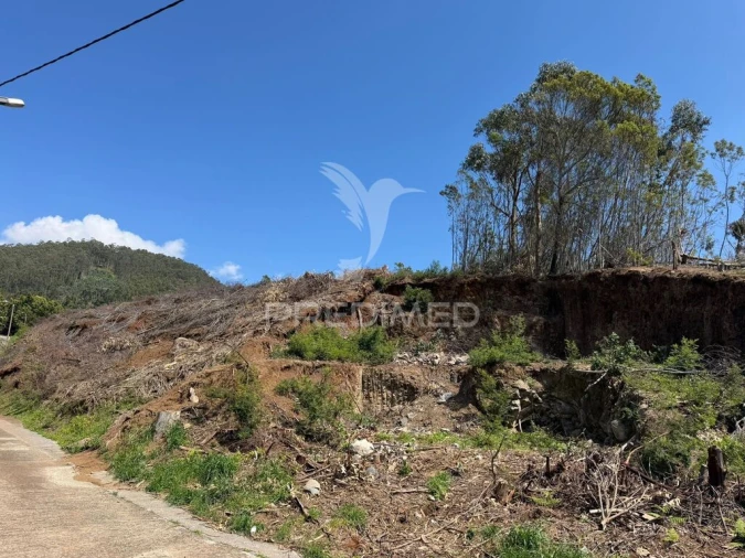 Terreno para Venda em Ribeira Brava Foto 3