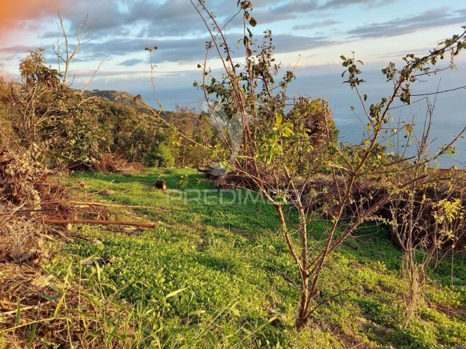 Terreno para Venda em Ribeira Brava Foto 7