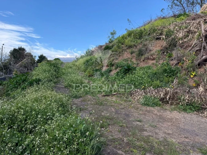 Terreno para Venda em Ribeira Brava Foto 6