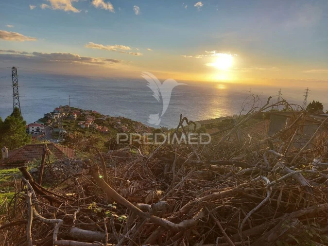 Terreno para Venda em Ribeira Brava Foto 9
