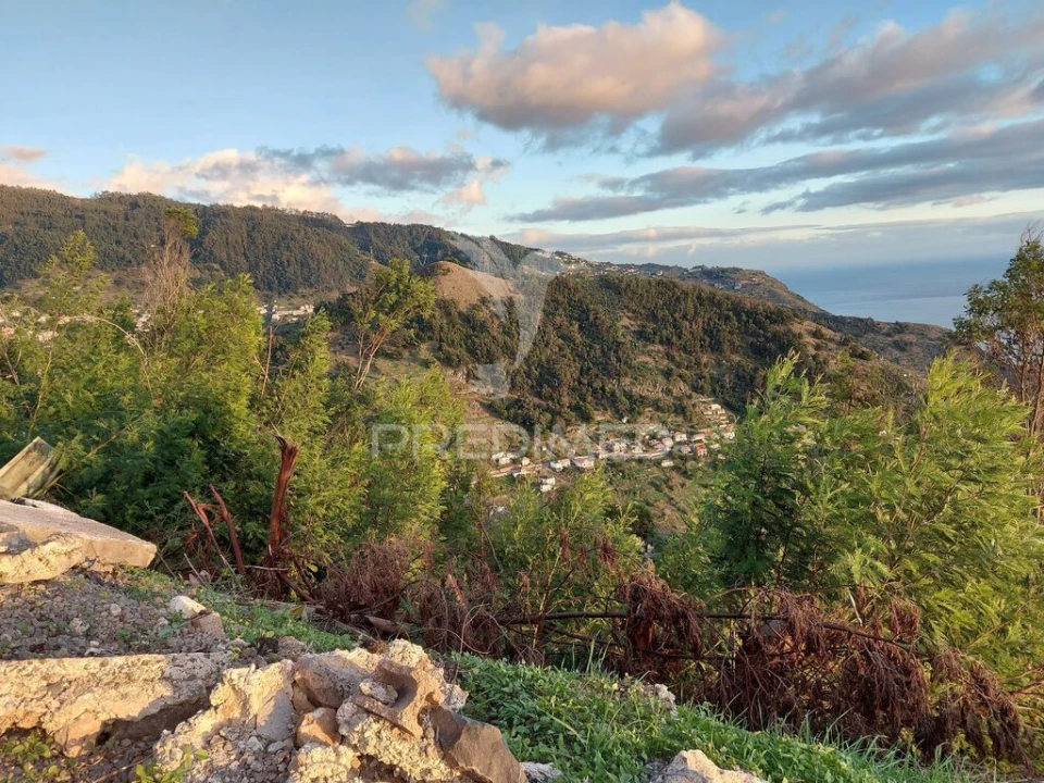Terreno para Venda em Ribeira Brava Foto 18
