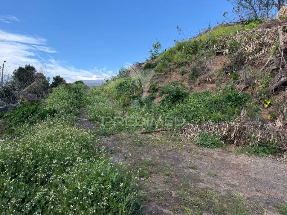 Terreno para Venda em Ribeira Brava Foto 6