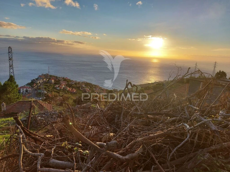 Terreno para Venda em Ribeira Brava Foto 9