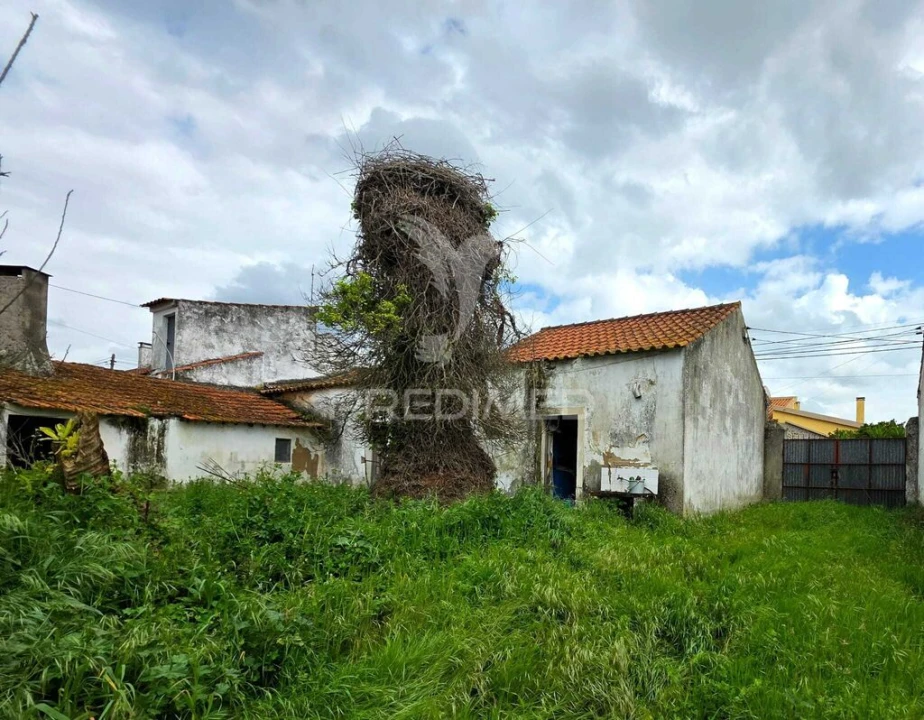 Moradia T4 para Venda em Rio Maior Foto 8