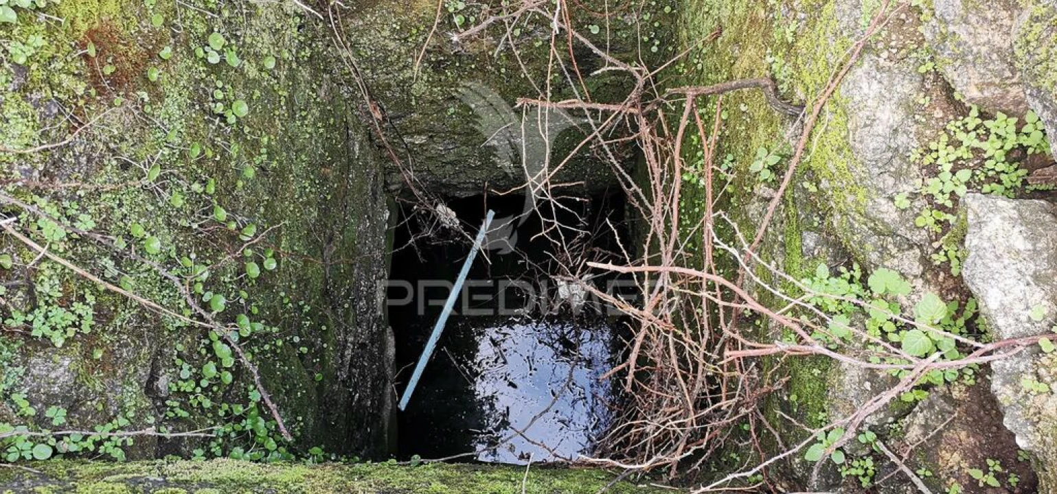 Terreno para Venda em Tolosa Foto 5