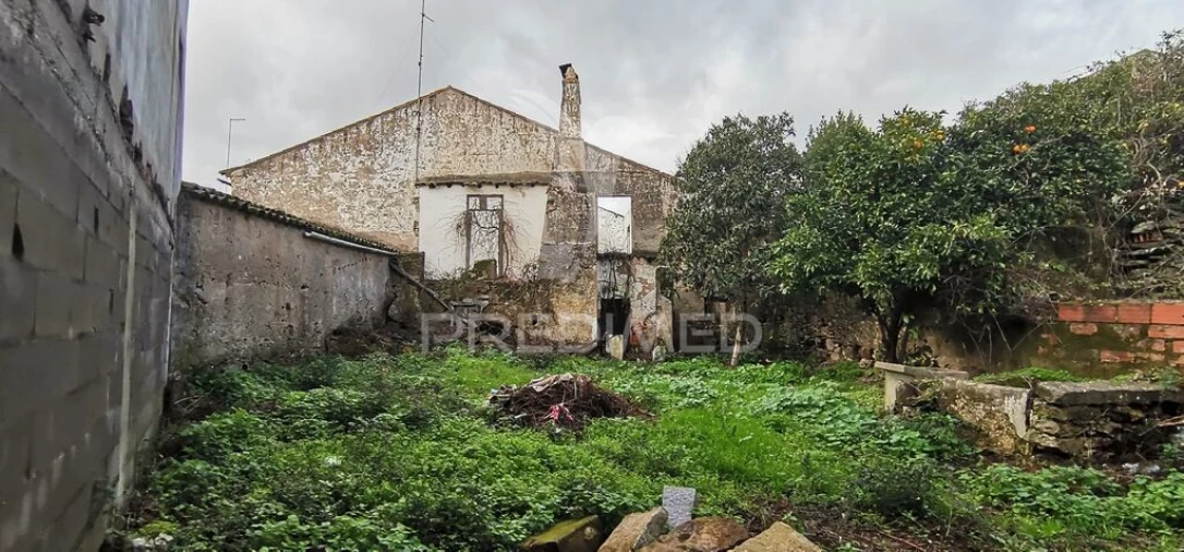 Terreno para Venda em Tolosa Foto 6