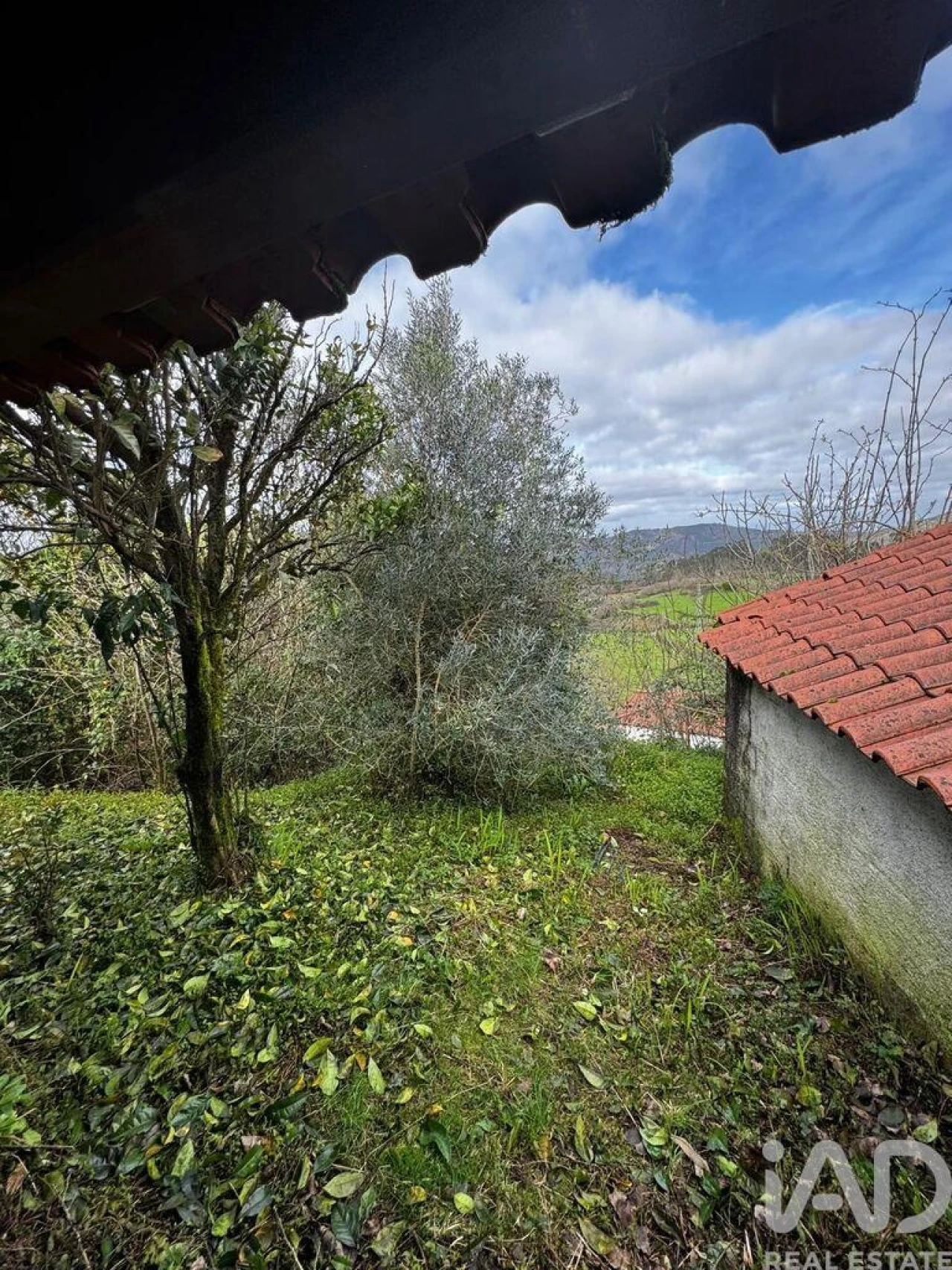 Moradia T1 para Venda em Labrujó, Rendufe e Vilar do Monte Foto 4