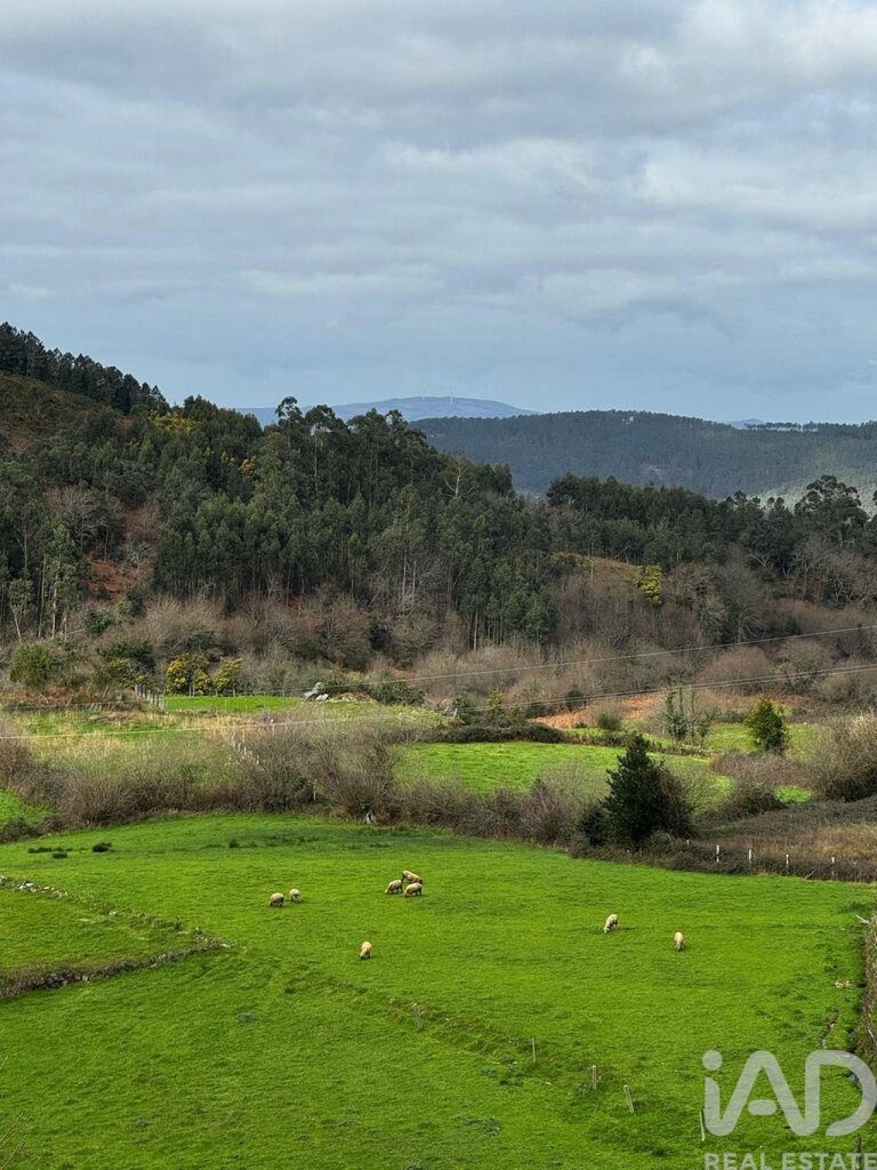 Moradia T1 para Venda em Labrujó, Rendufe e Vilar do Monte Foto 24