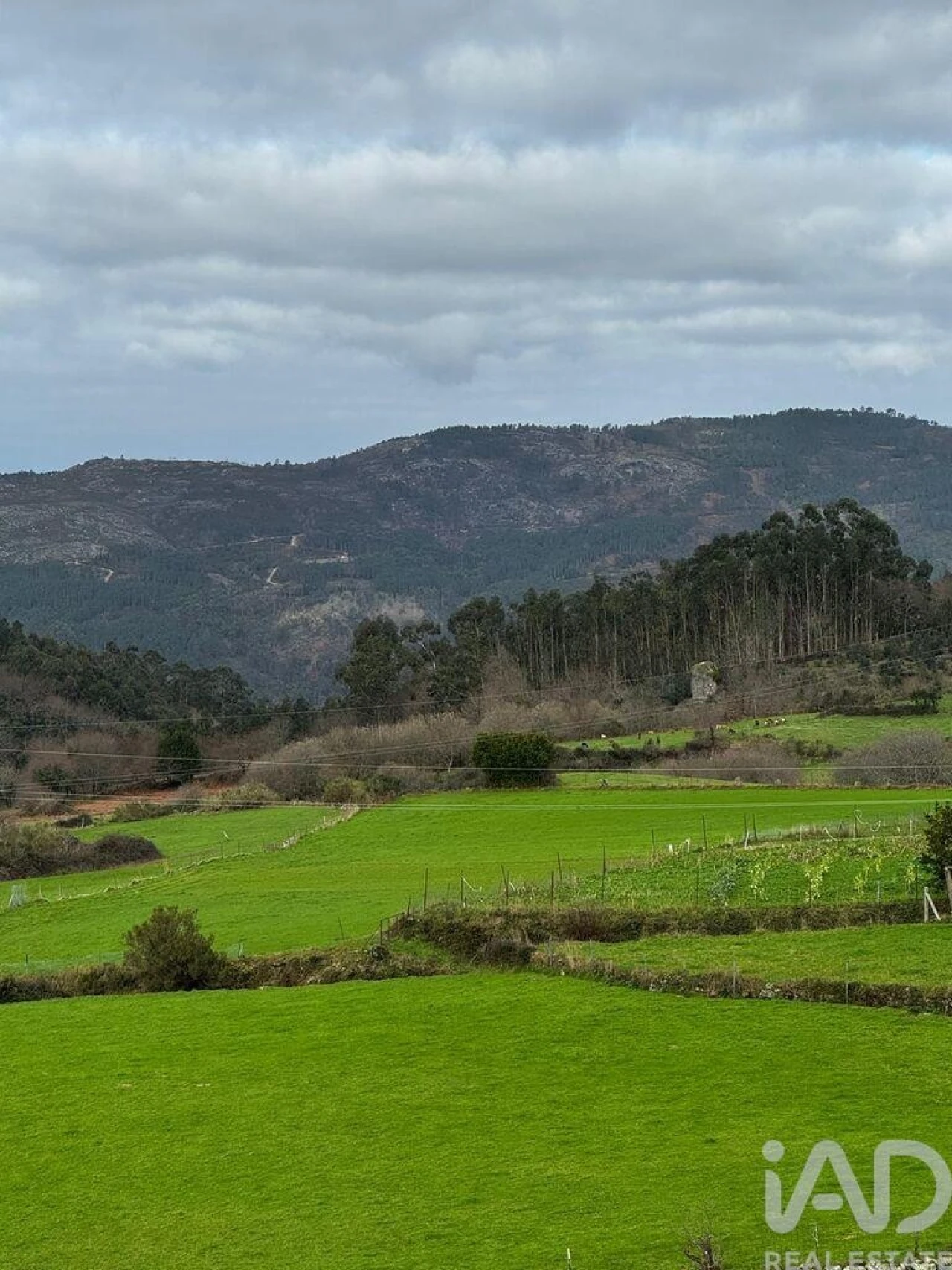 Moradia T1 para Venda em Labrujó, Rendufe e Vilar do Monte Foto 20