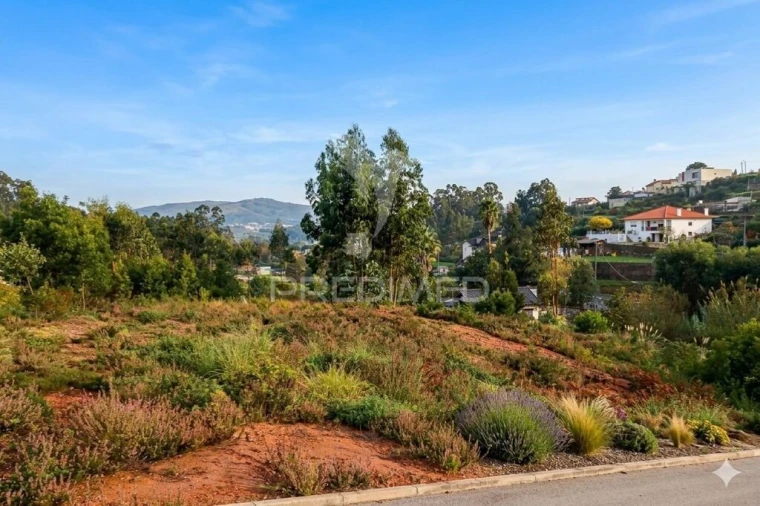Terreno para Venda em Águeda e Borralha Foto 2
