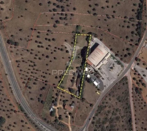 Terreno para Venda em Alcanena e Vila Moreira