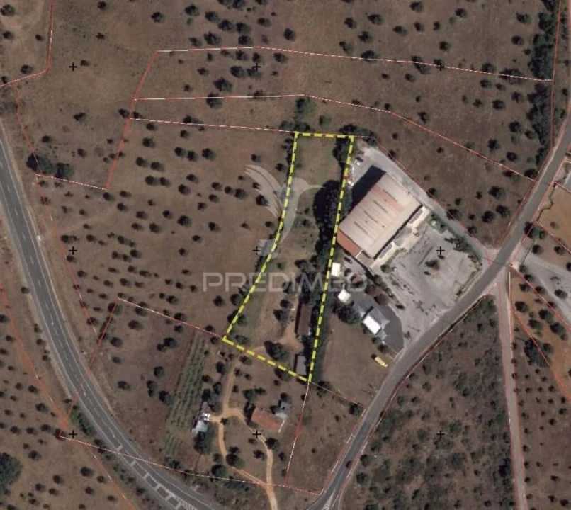 Terreno para Venda em Alcanena e Vila Moreira Foto 1