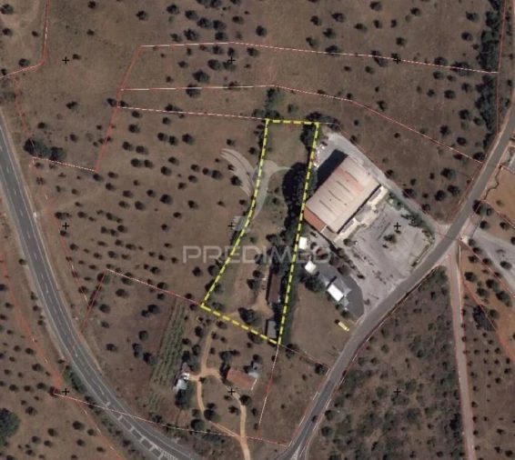 Terreno para Venda em Alcanena e Vila Moreira