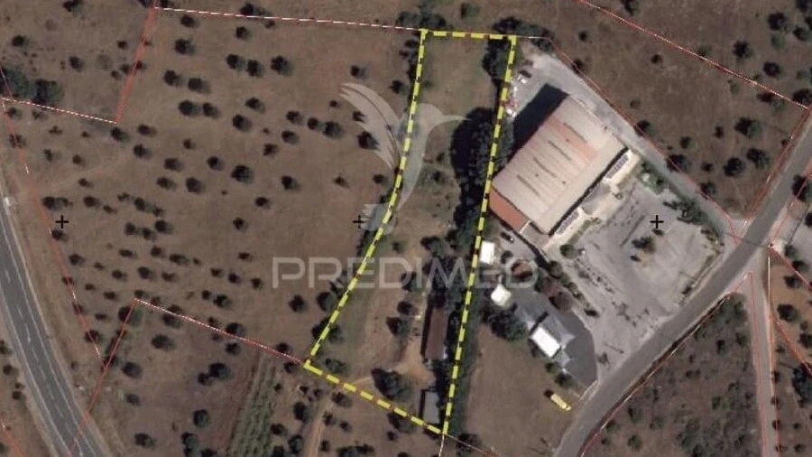 Terreno para Venda em Alcanena e Vila Moreira