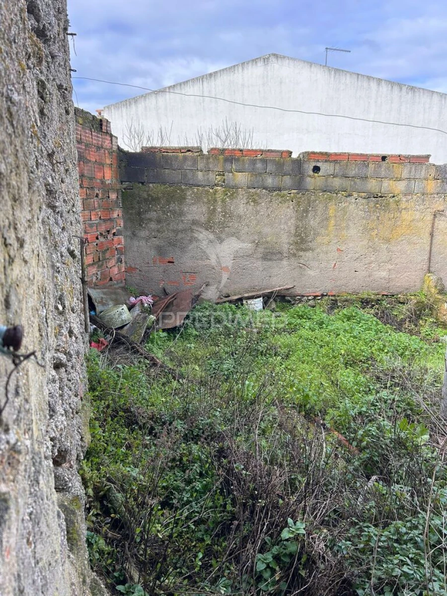 Moradia T1 para Venda em Tolosa Foto 4