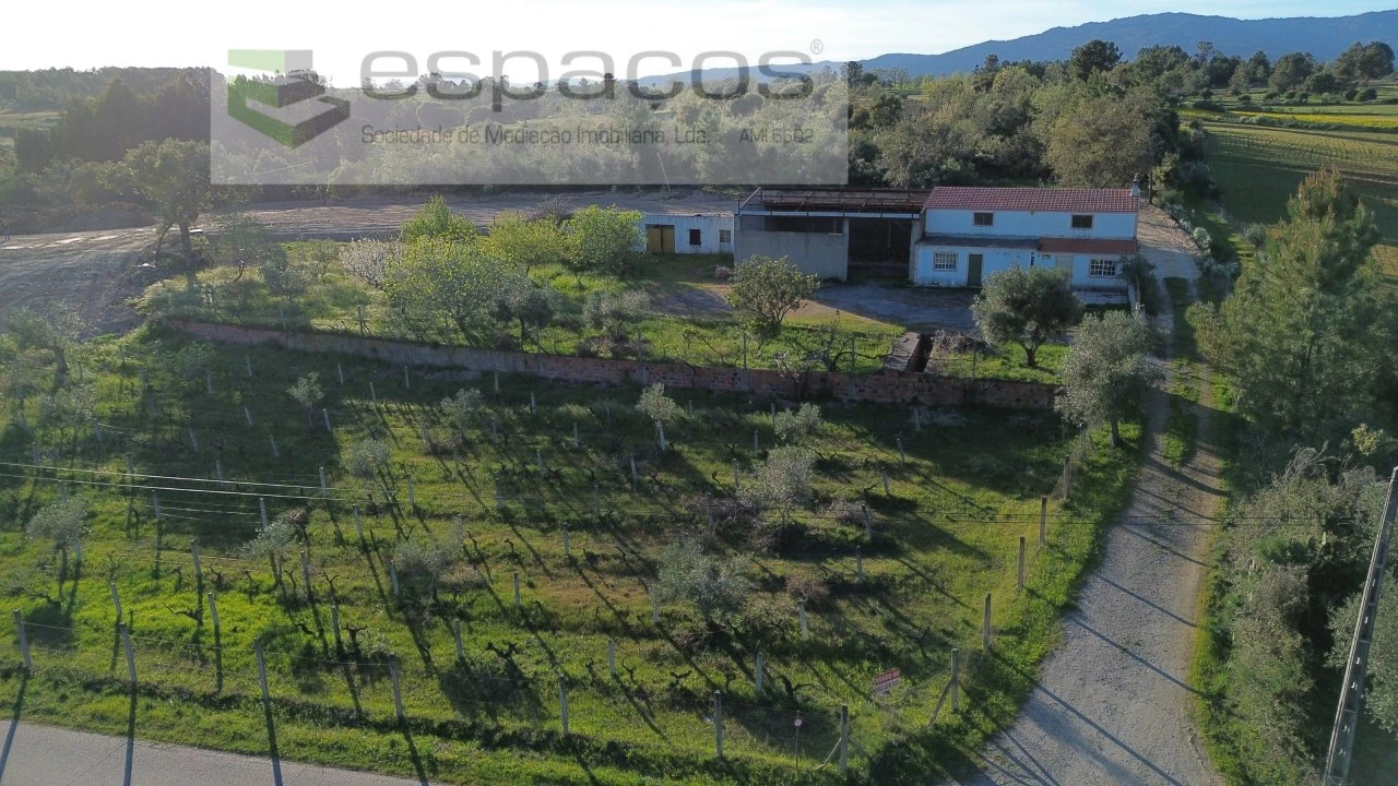 Quinta para Venda em Lardosa Foto 3