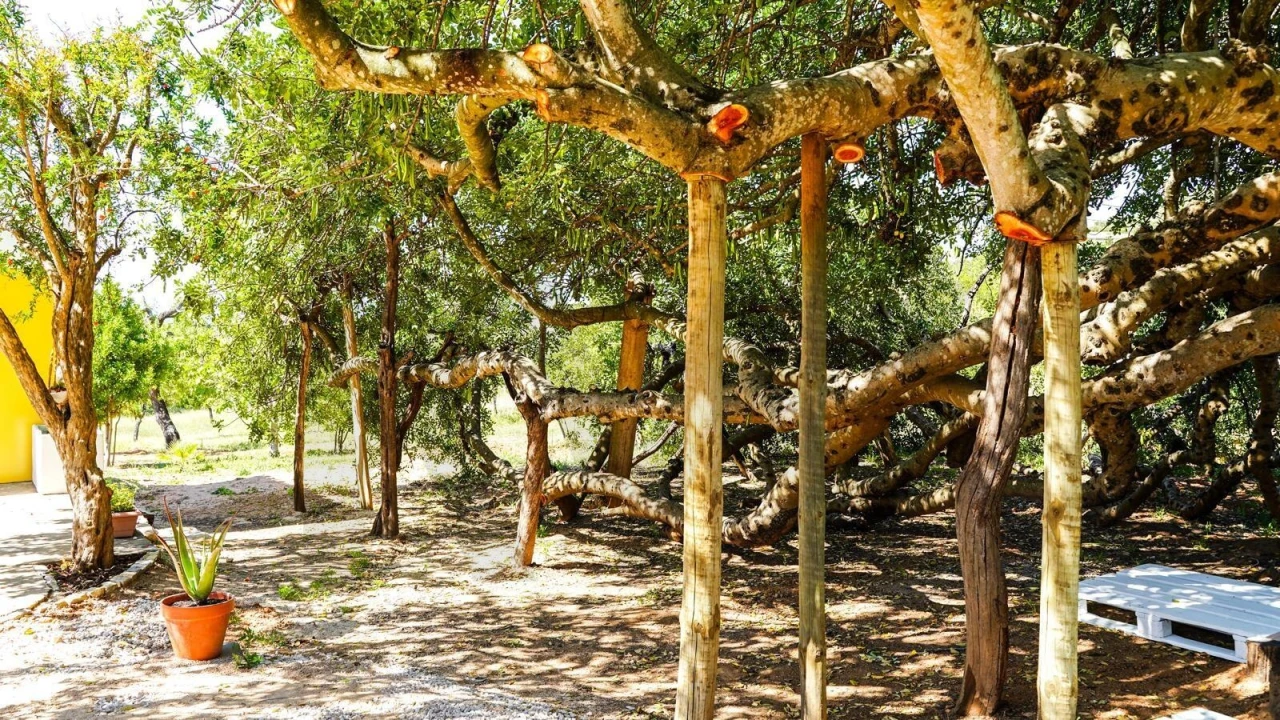 Moradia T4 para Venda em Santa Barbara de Nexe Foto 19