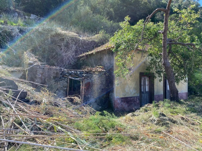 Moradia T2 para Venda em Campanario Foto 19